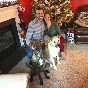 Meet your Posher, Bridget